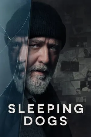 Bolly4u Sleeping Dogs 2024 English Full Movie WEB-DL 480p 720p 1080p Download